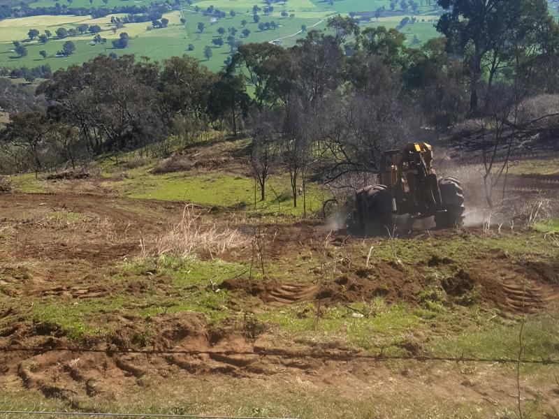 Albury Wodonga Land Clearing